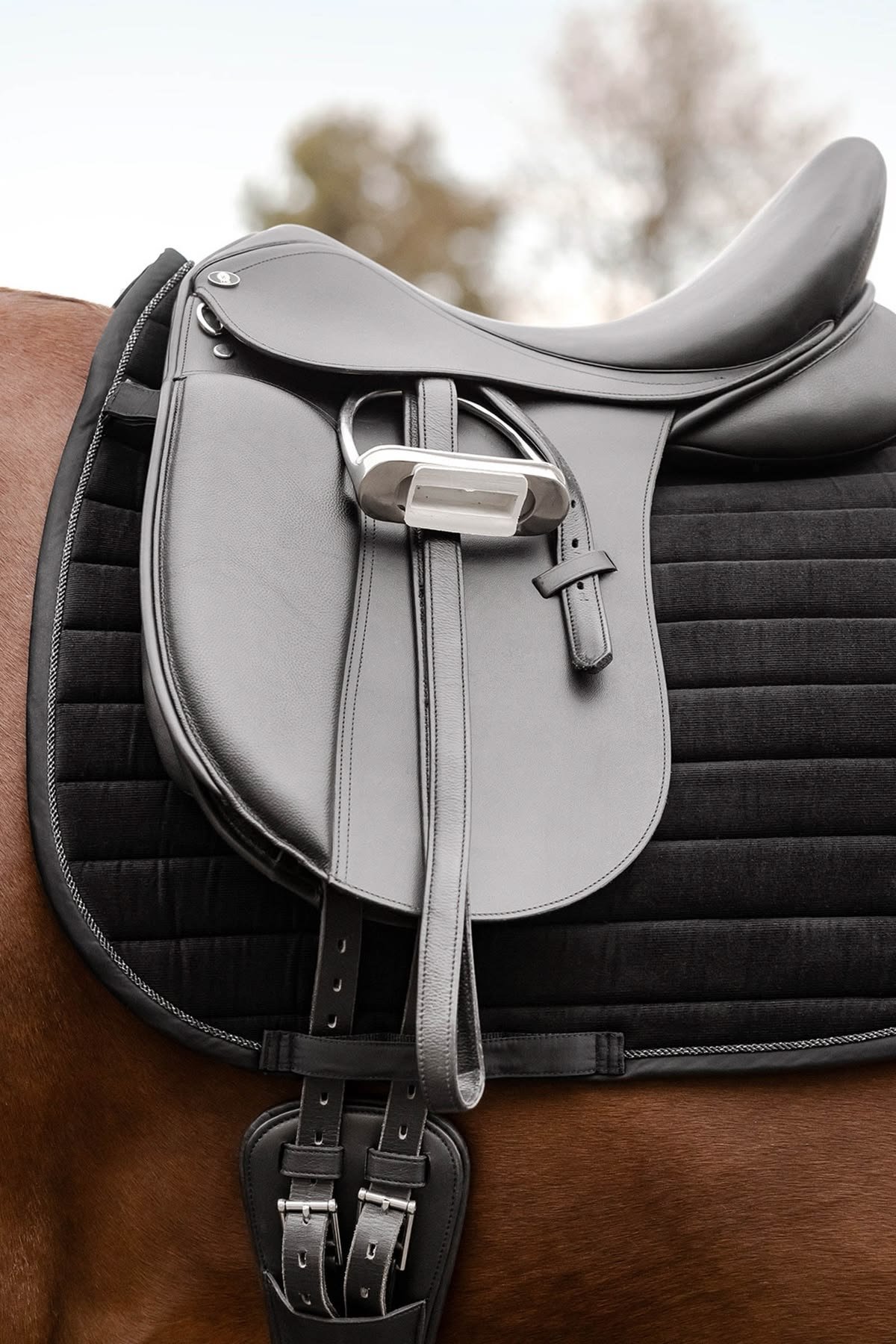 Selles de dressage